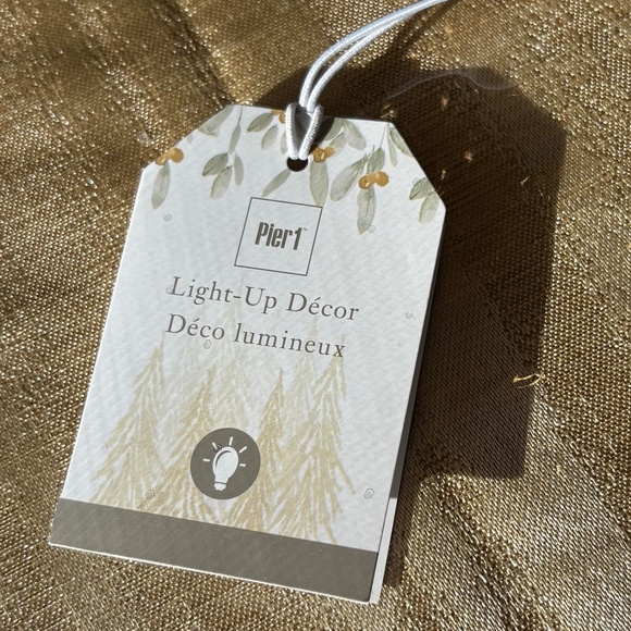 Pier 1 Nostalgic Village Set of 4 Light-Up Houses - Picture 10 of 14